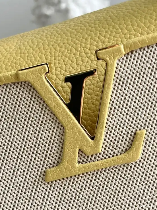 Frstbag ru VUITTON MM CAPUCINES LOUIS 0406